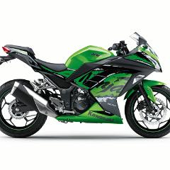 Ninja 300